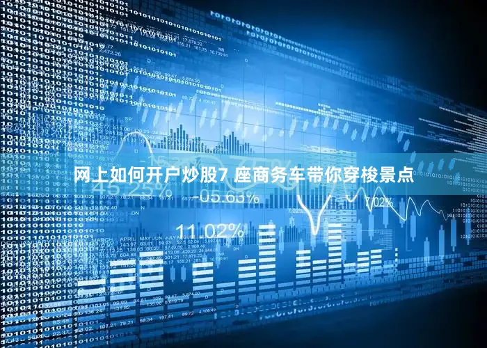 网上如何开户炒股7 座商务车带你穿梭景点