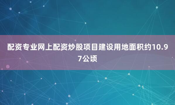 配资专业网上配资炒股项目建设用地面积约10.97公顷